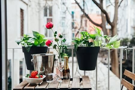 Flores Home バーリ エクステリア 写真